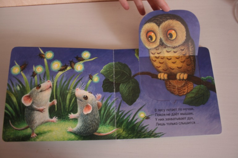 Что мы слышали в лесу и в деревне. Книжки с кармашками.