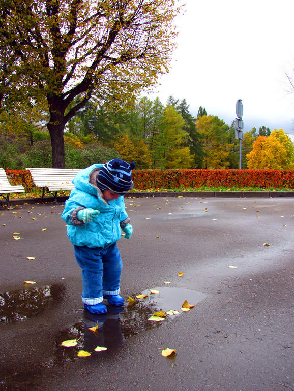 Контрольное задание № 2. Вырезание.