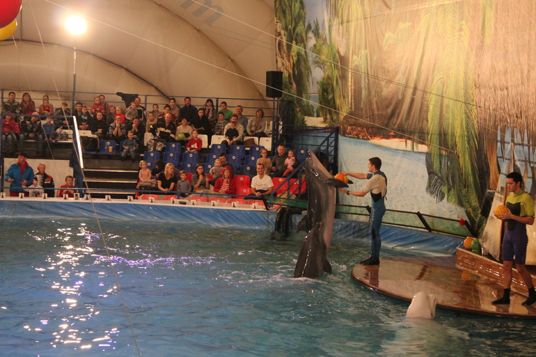 Дельфинарий!