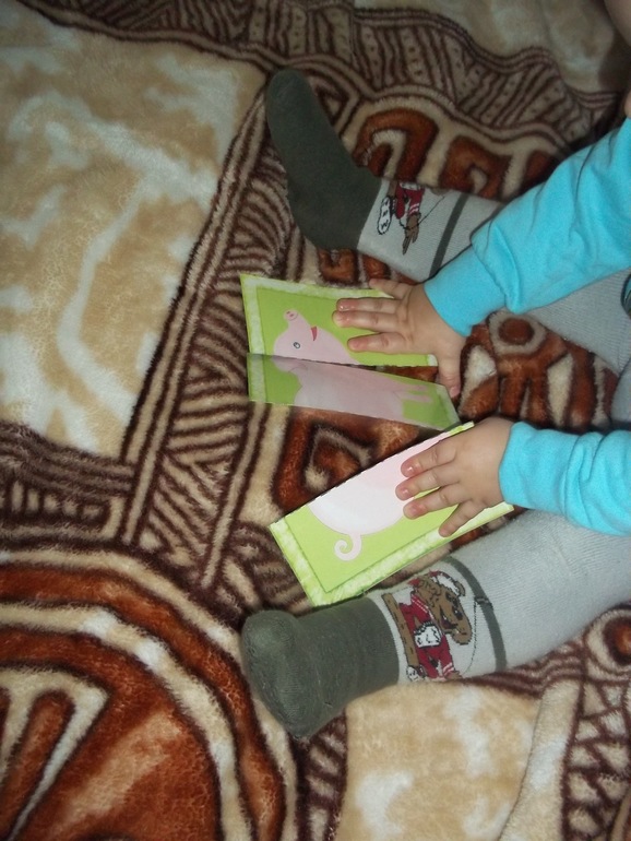 ТЗ Свинья, поросенок