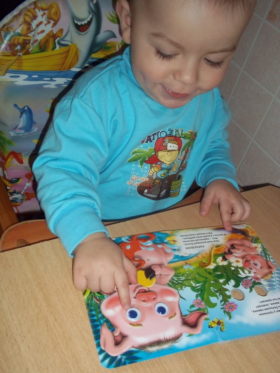 ТЗ Свинья, поросенок