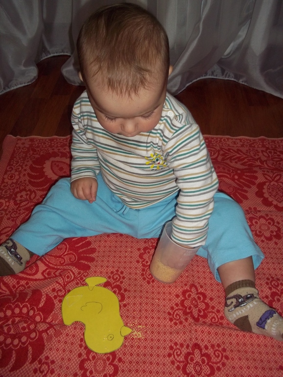 ТН Курица, петух, цыпленок