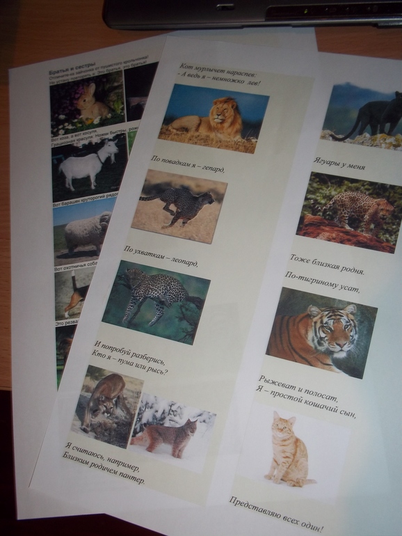 ТН Моя семья День 5 (заключительный)