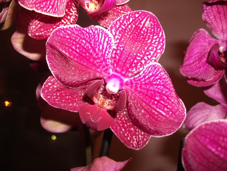 Помогите новичку!