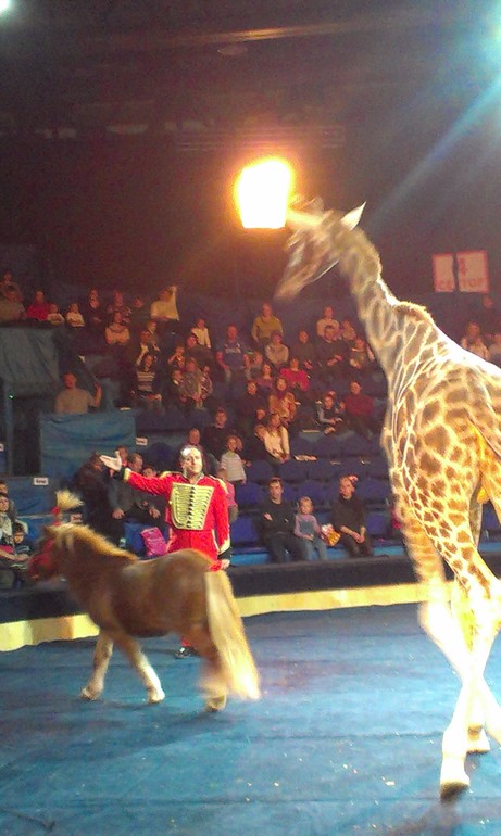 Цирк в Сокольниках