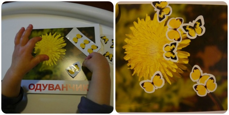 ТН Цвета. Желтый день.