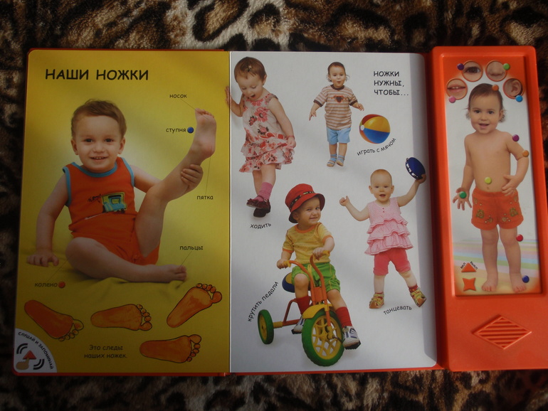 наше книжконе осеннее пополнение (в 1 год и 2-3 месяца)