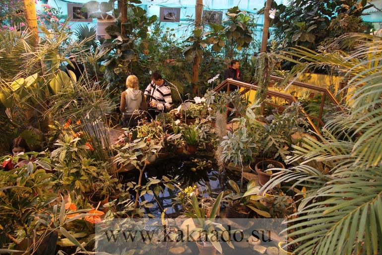 Всеросийский выстовочный центр.