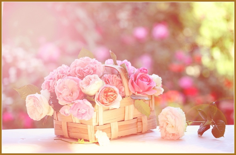 b40c044d708541099fe249bf163d094e.jpg