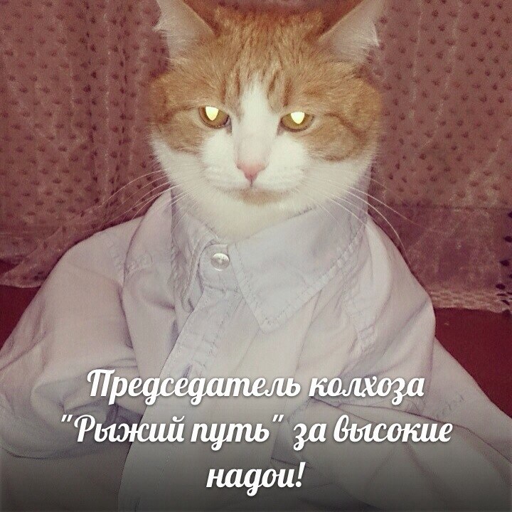 Берегите своих Бобиков и верить ли вет клиникам?