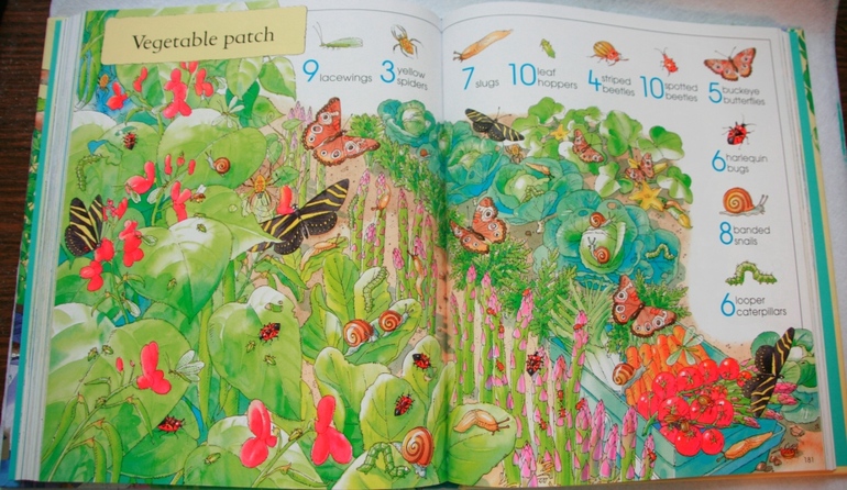 Thousands of Things to Spot от Usborne много фото