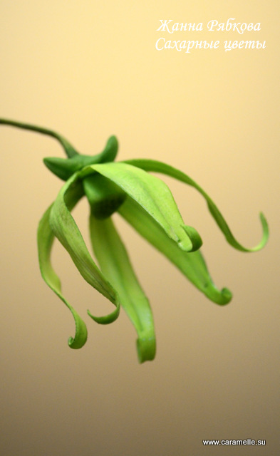 Сахарный Иланг-Иланг...)))