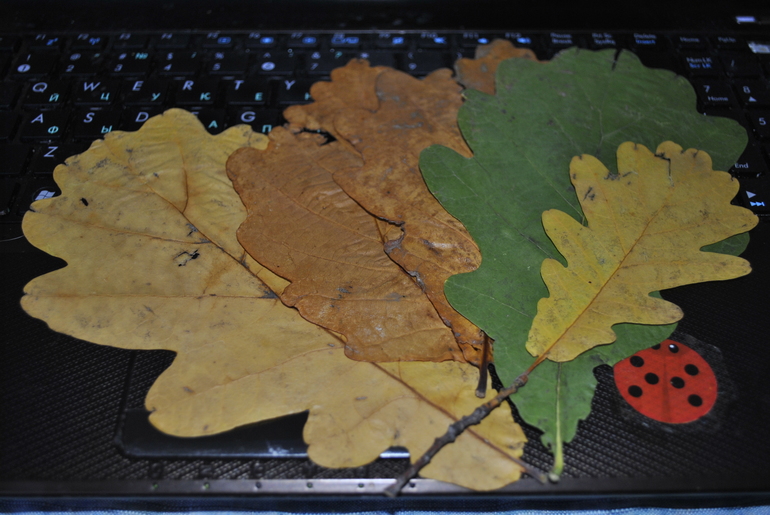 Обмен природными материалами.