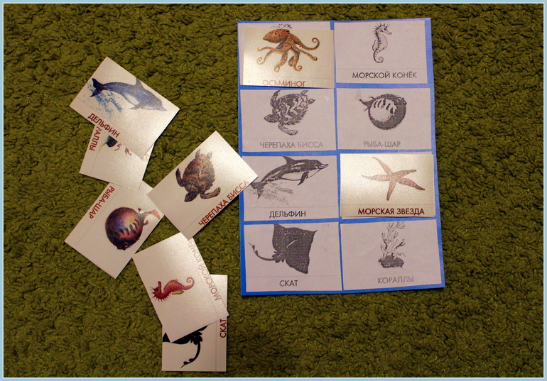 Морская неделя