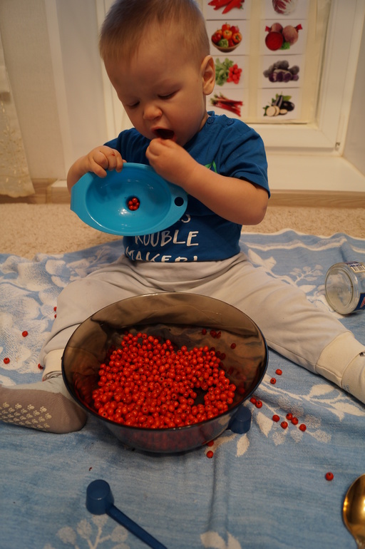 Занятия по Шичиде с 1,1 г.