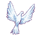 6ad4d3411cde4c592a43f673dcc59fc8.gif