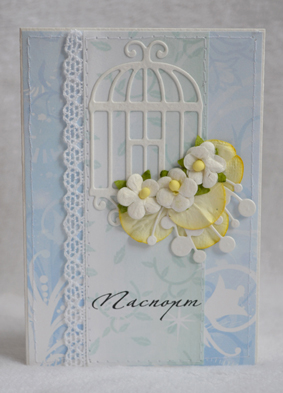 Обложки на паспорт