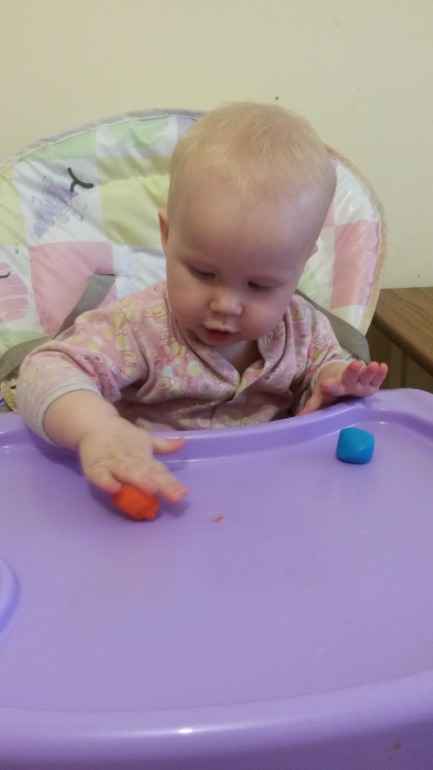 ТН " ЛЕСНЫЕ ЖИВОТНЫЕ" творческая среда