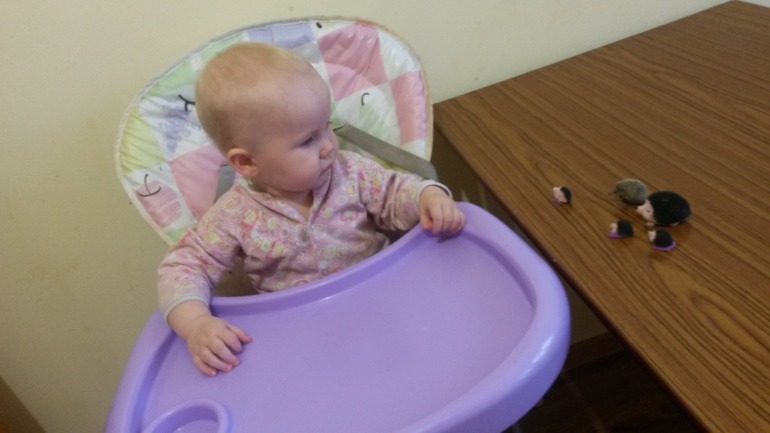 ТН " ЛЕСНЫЕ ЖИВОТНЫЕ" творческая среда