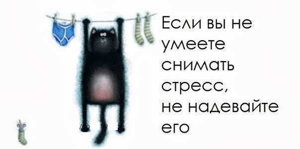 a5ae90b6bc613f12f5102be6d47bd4dd.jpg
