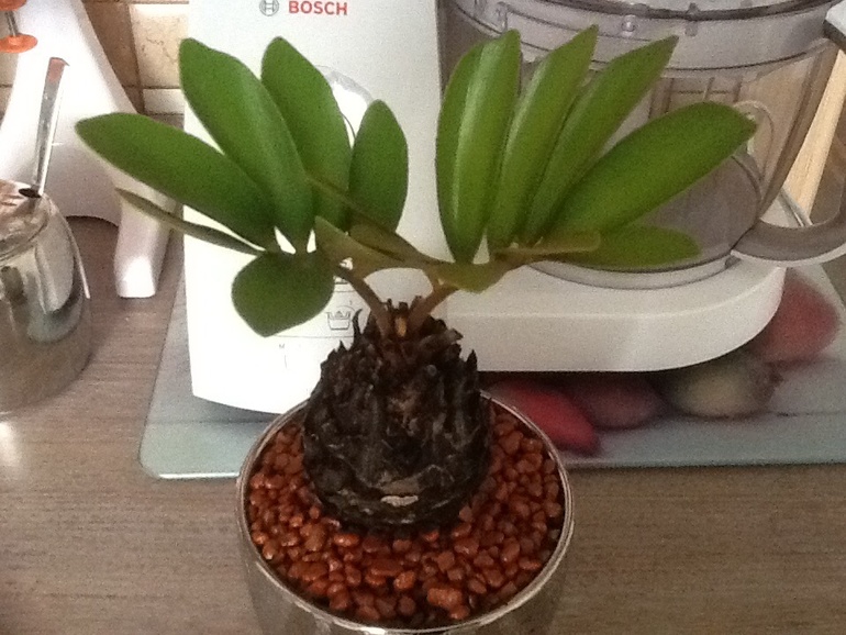 Это болезнь...:)