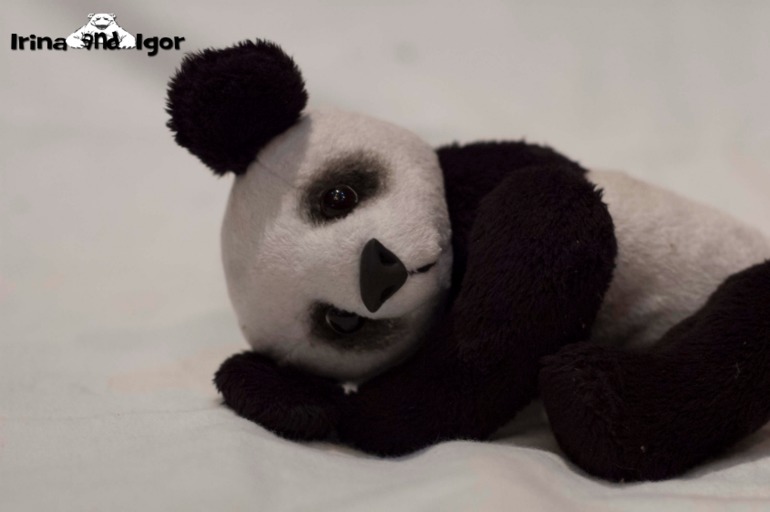 Панда Луиджи