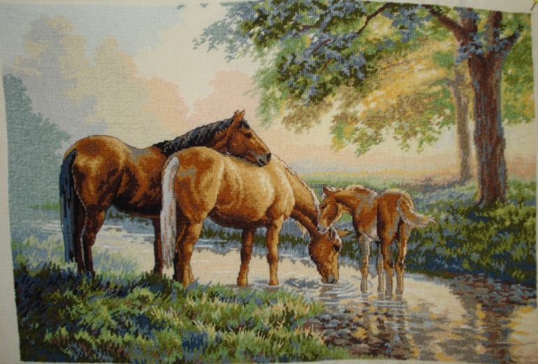 Офомились (много фото)