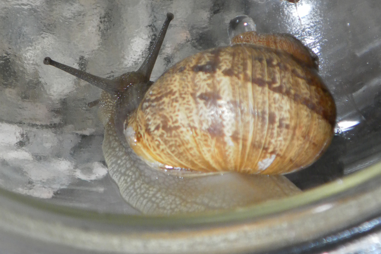 Мы переехали!!! в Калифорнию, Лос-Анджелес!!! сентябрь, 2013г