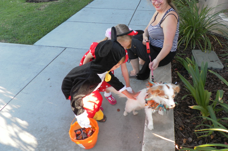 наш осенний детский поход по магазинам за