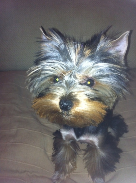 Мой шалун-красатун!