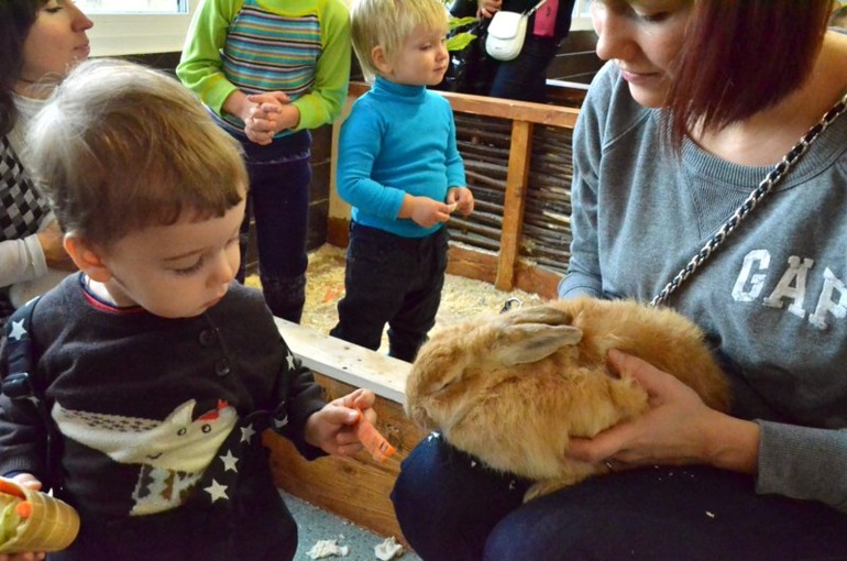 Контактный зоопарк на ВВЦ (много фото)