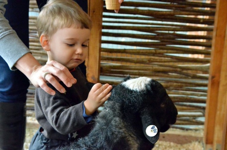 Контактный зоопарк на ВВЦ (много фото)