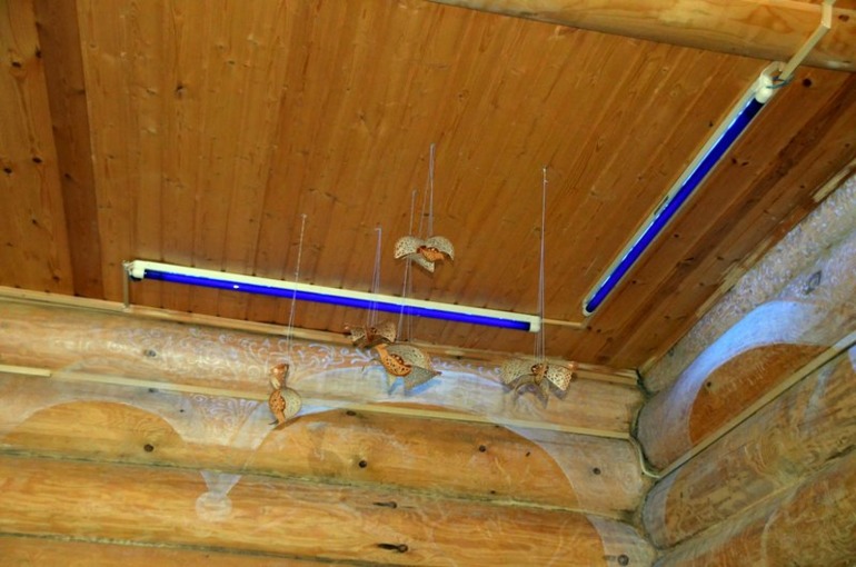 Усадьба Деда Мороза в Кузьминках! (очень,очень много фото)