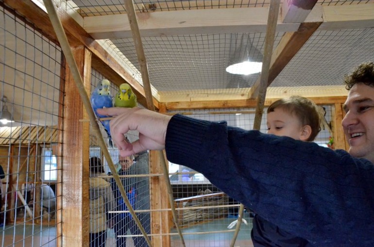 Контактный зоопарк на ВВЦ (много фото)