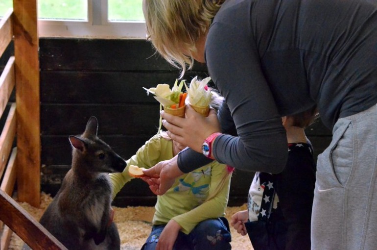 Контактный зоопарк на ВВЦ (много фото)