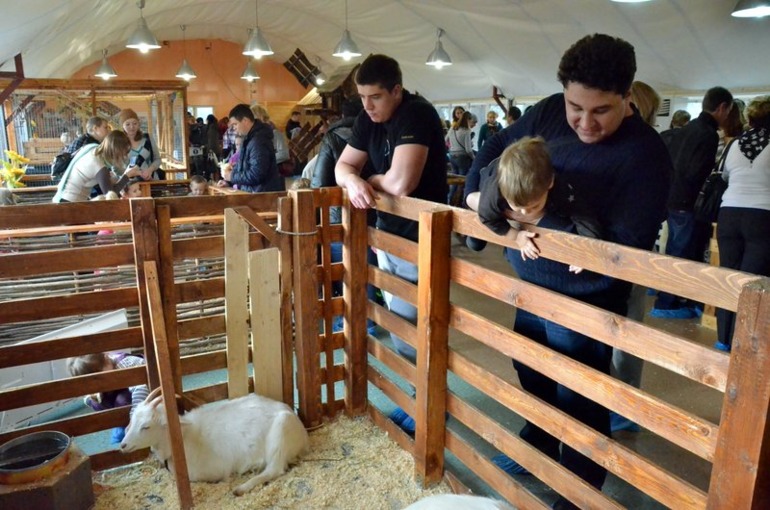 Контактный зоопарк на ВВЦ (много фото)