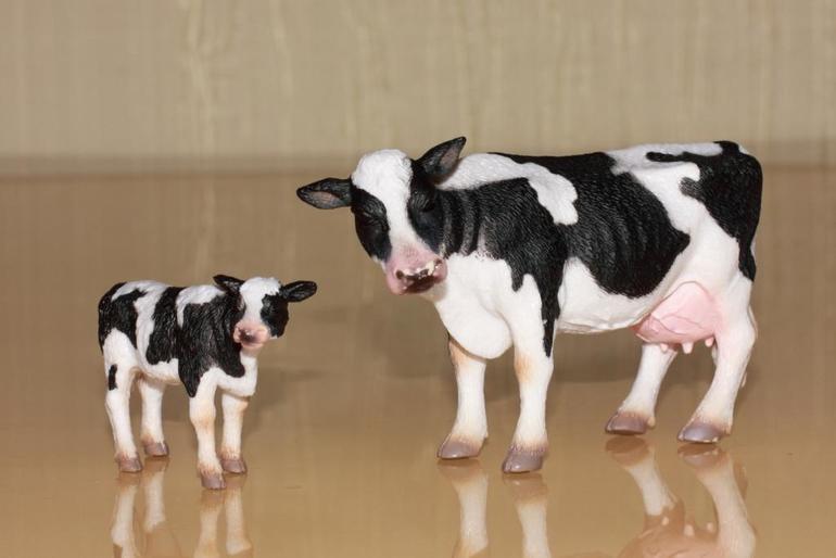 Изучаем животных.