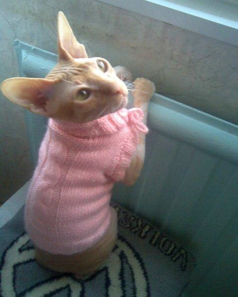 Девочки рукодельницы! Кто-нибудь вяжет на заказ ?