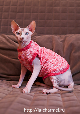 Девочки рукодельницы! Кто-нибудь вяжет на заказ ?