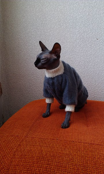 Девочки рукодельницы! Кто-нибудь вяжет на заказ ?