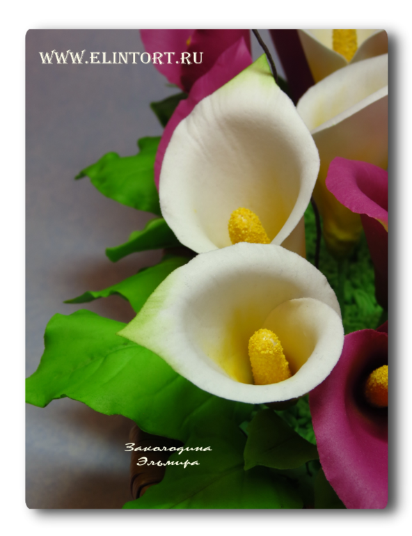 Сахарные Каллы.