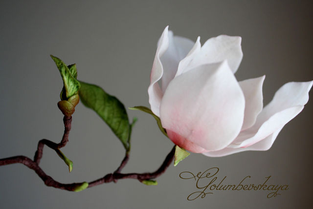 Курс по сахарной флористике от Олеси Голумбевской! Второй набор.