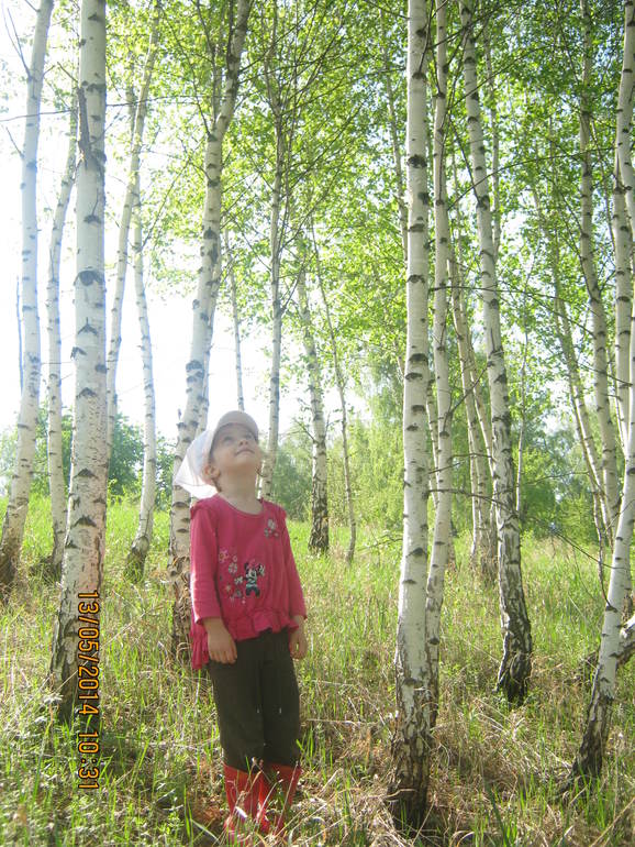 ca6adde31d59a4d732dcee8fead29056.jpg