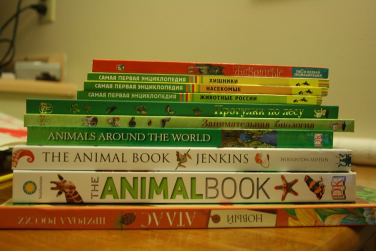 Наше новое увлечение