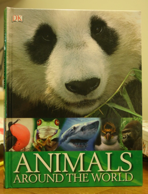 Наше новое увлечение