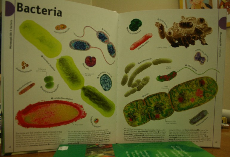 Наше новое увлечение