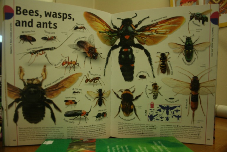 Наше новое увлечение