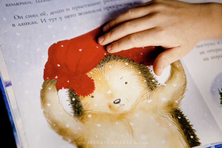 Зимние книги, которые живут в нашем доме.