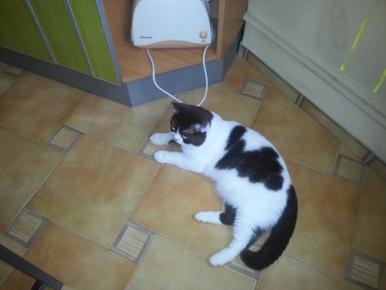 спрей Феливей (Feliway)