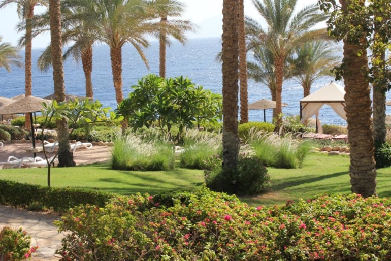 Отель Гранд Ротана в Шарме